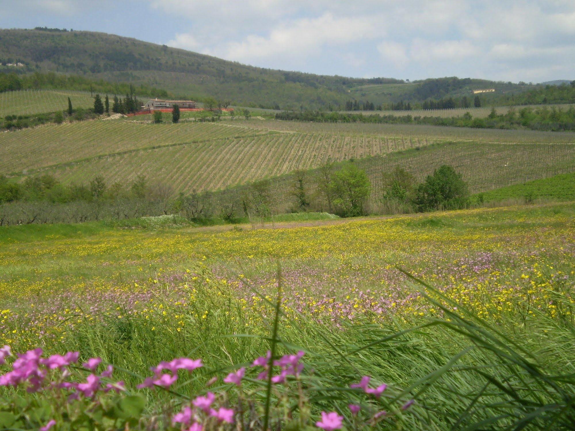 Nido Del Merlo Santomato Esterno foto