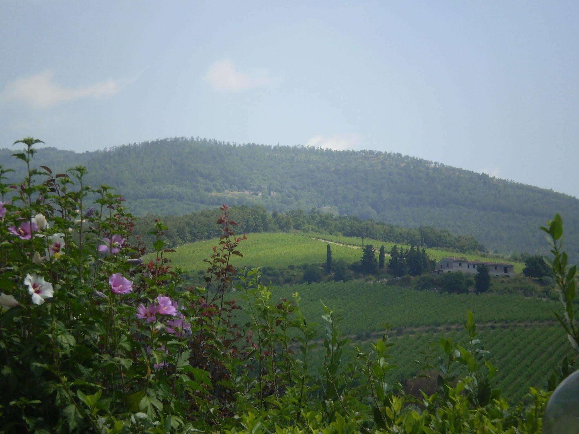 Nido Del Merlo Santomato Esterno foto